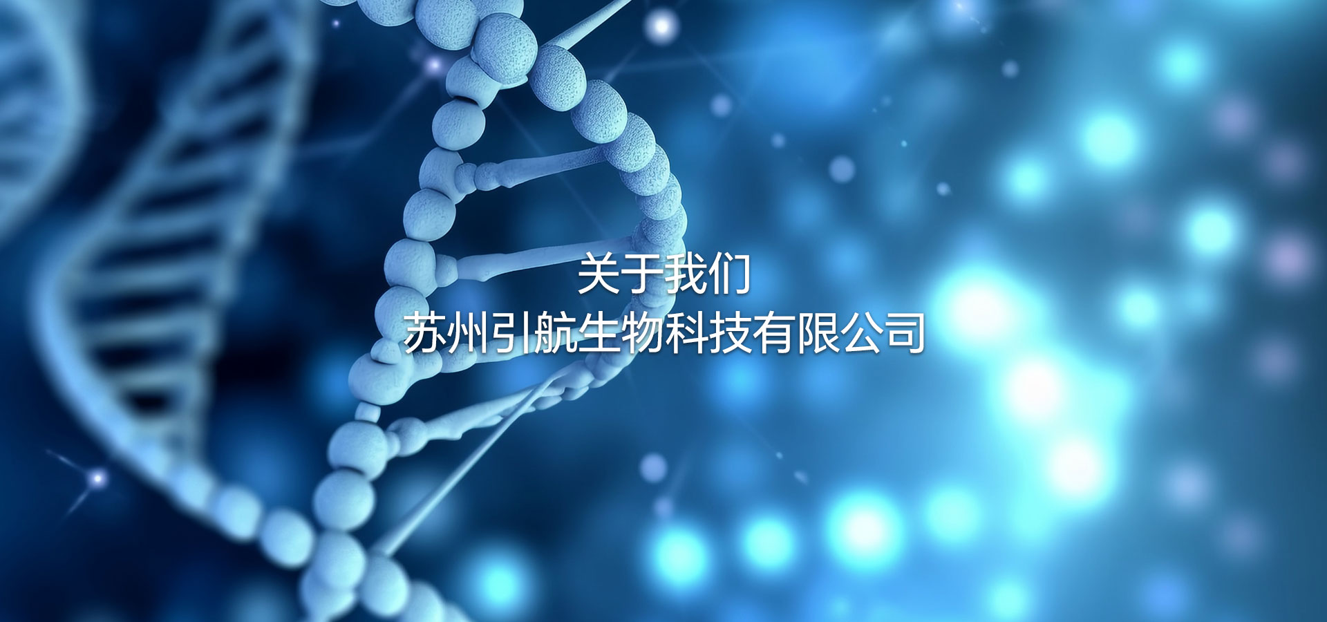 杏彩体育网
乘风破浪 扬帆起航
